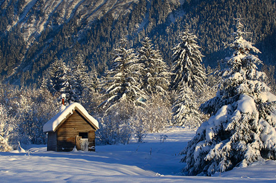 winter-wonderland