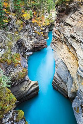 athabasca-river-jasper-national-park-alberta.ngsversion.1477423824652.adapt.280.1