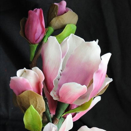 magnolia-flowers
