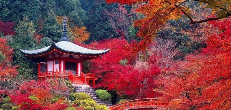 Daigo-ji-Temple-in-Autumn