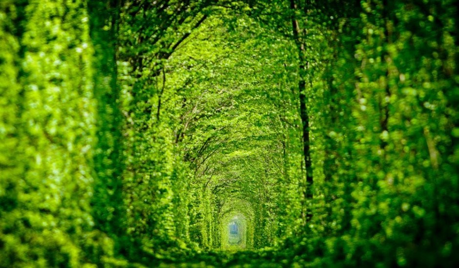 tunnel-of-love-940×548