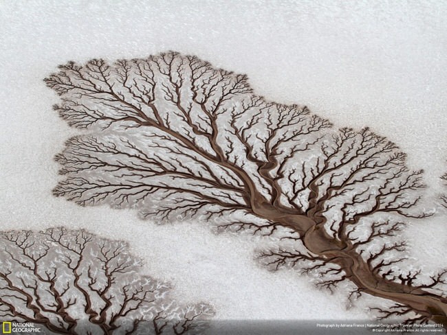 Tree-like-rivers-in-Baja-California-Desert-1024×768
