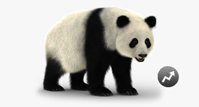 Panda-Bear-Worlds-Most-Beautiful-Creatures