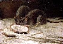 two-rats-1884.jpg!PinterestSmall