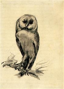 barn-owl-viewed-from-the-front-1887(1).jpg!PinterestSmall