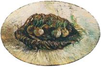 basket-of-sprouting-bulbs-1887(1).jpg!PinterestSmall