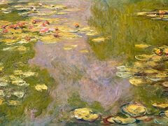 waterlilies